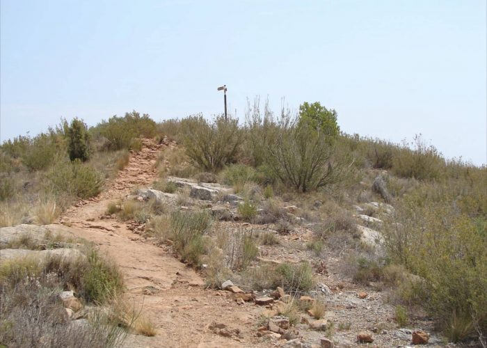 2PRV241.jpg