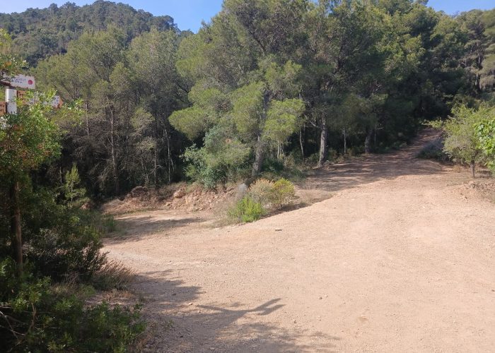 Copia-de-coll-garrut-izquierda.jpg