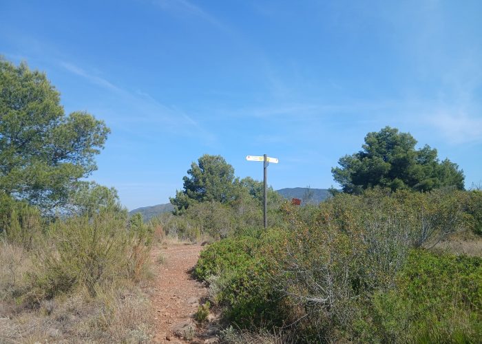 Copia-de-collado-palmerat.jpg