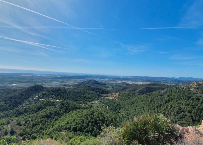 Puntal 3