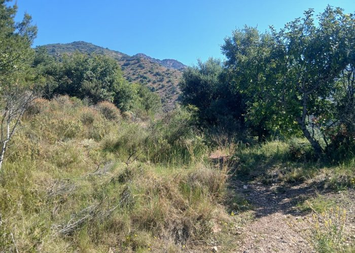 km-4.0-izquierda-coll-mena.jpg