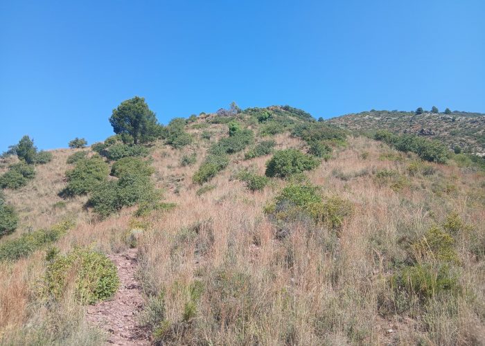 km-4.5.jpg