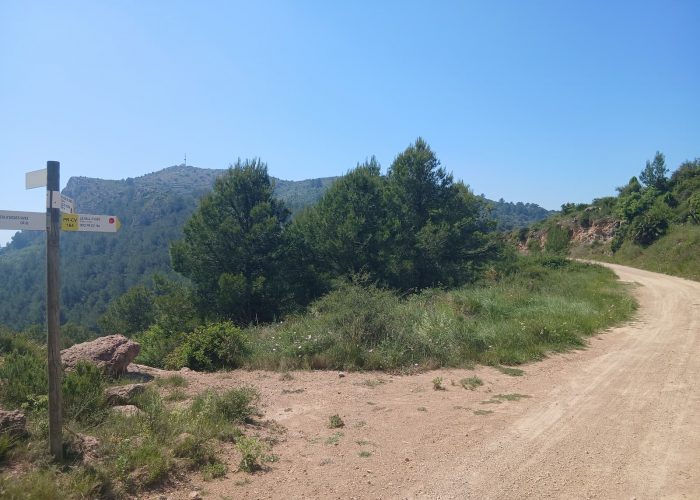 km-8.0-dir-VALL-DUIXO.jpg