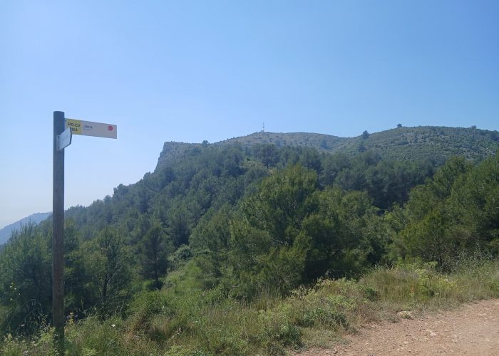 km-8.2-ereta.jpg