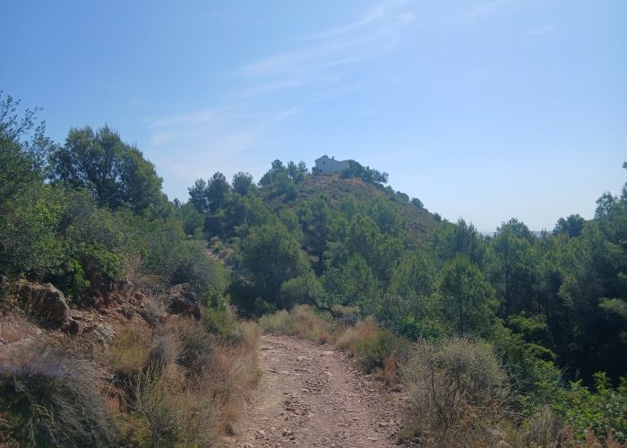 san-antoni.jpg